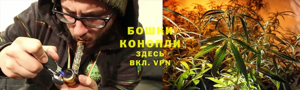 2c-b Балабаново