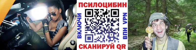 кракен как войти  Верхотурье  Галлюциногенные грибы Psilocybine cubensis 